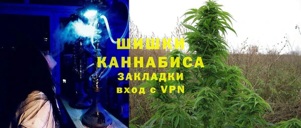 ГАЛЛЮЦИНОГЕННЫЕ ГРИБЫ Армянск