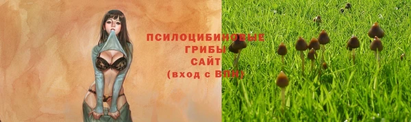 ГАЛЛЮЦИНОГЕННЫЕ ГРИБЫ Армянск